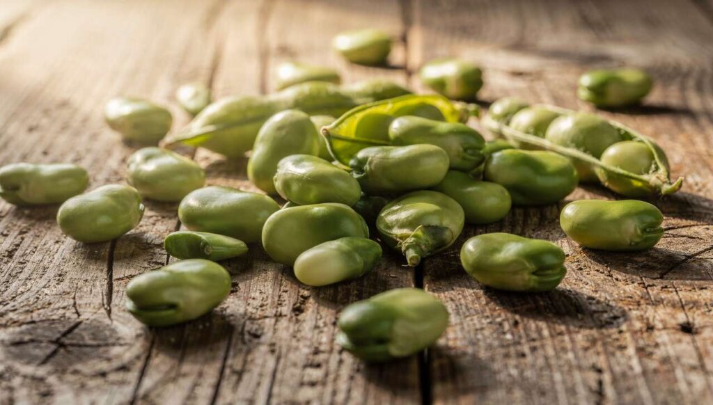 Fave fresche e pressione arteriosa: cosa dice la ricerca sul loro effetto vasodilatatore